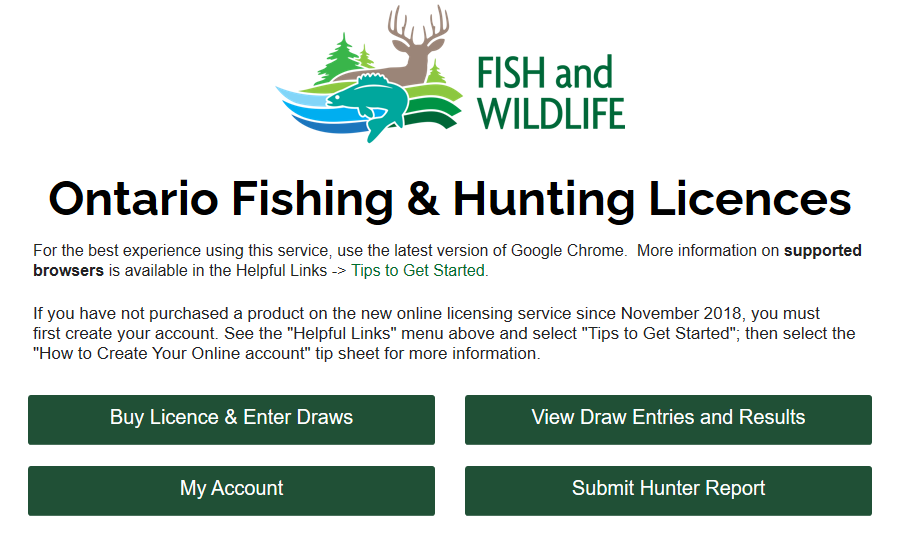 how can i get a fishing license